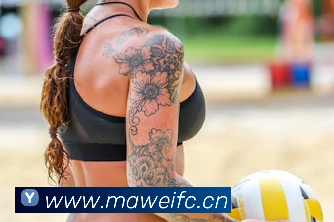 多媒体互动体验